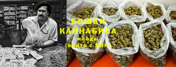 стаф Козловка
