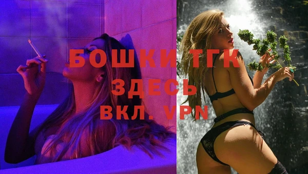 стаф Козловка