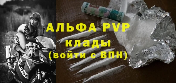 стаф Козловка