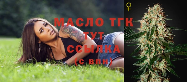 стаф Козловка