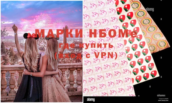 стаф Козловка