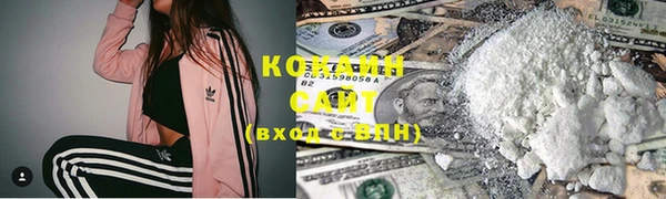 стаф Козловка