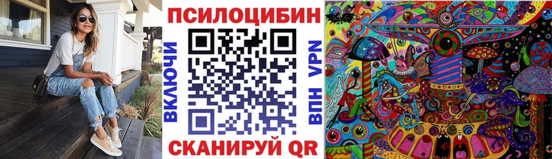 Купить закладки  Воткинск  Псилоцибиновые грибы мицелий 