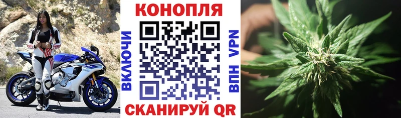 Купить закладки  Воткинск  Шишки марихуана White Widow 